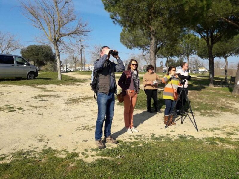 Doñana National Park Off-Road Tour from Seville - Who Should Consider This Tour?