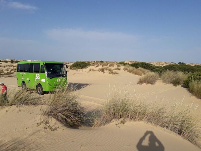 Doñana National Park Off-Road Tour from Seville - Final Thoughts