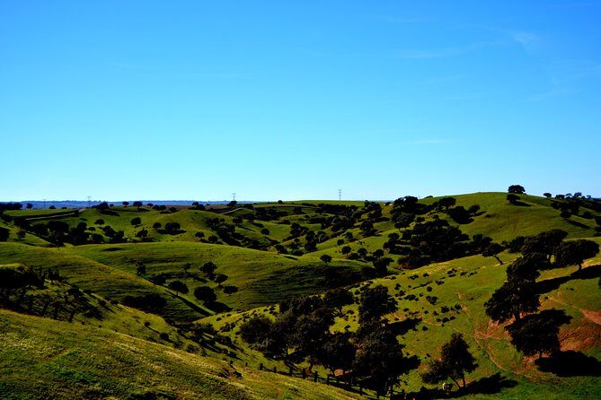 Doñana Natural Park Full-Day Tour from Seville - Final Thoughts