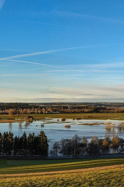 Donaueschingen Private Guided Walking Tour - Key Points