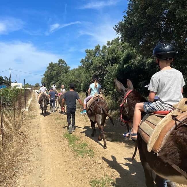 Donkey Ride - Cretan Country - The Sum Up