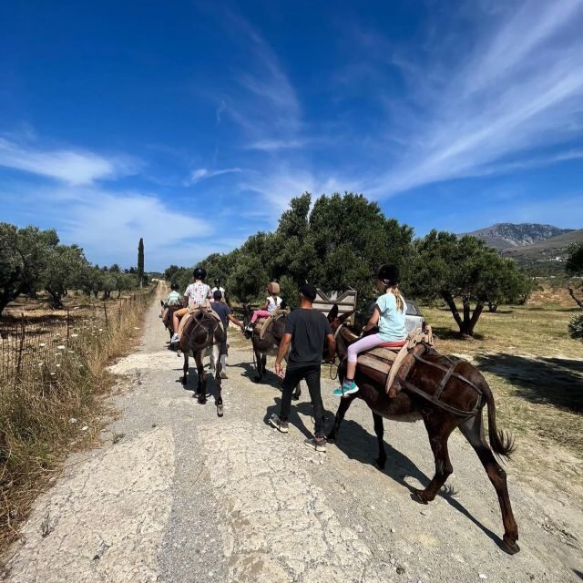 Donkey Ride - Cretan Country - FAQ