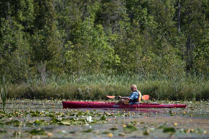 Door County Wetlands Kayak Tour - Exploring the Door County Wetlands Kayak Tour: A Friendly Guide