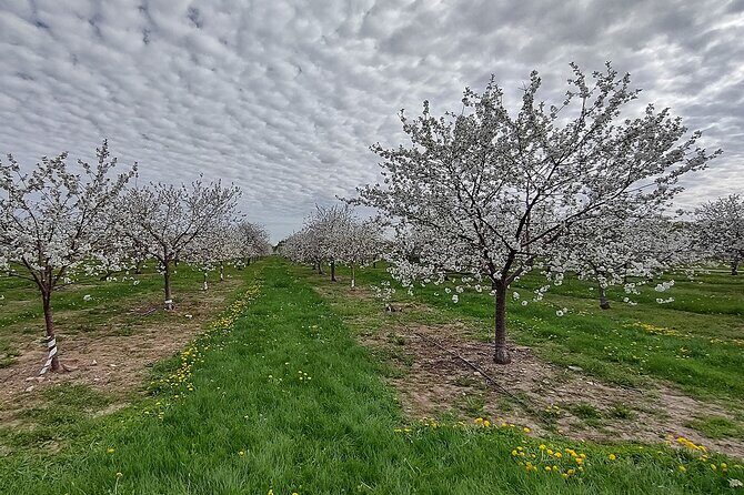 Door Countys Northern Peninsula: A Self-Guided Drive - Frequently Asked Questions