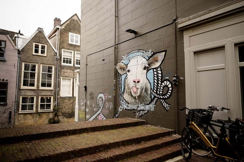 Dordrecht: Street Art Tour - What to Expect on the Tour