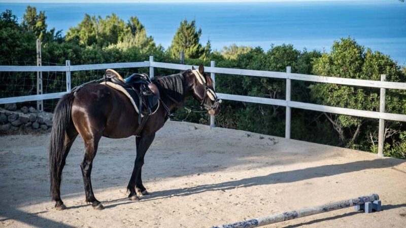 Dorgali: horseback ride for beginners in the Gulf of Orosei - Exploring the Experience in Detail
