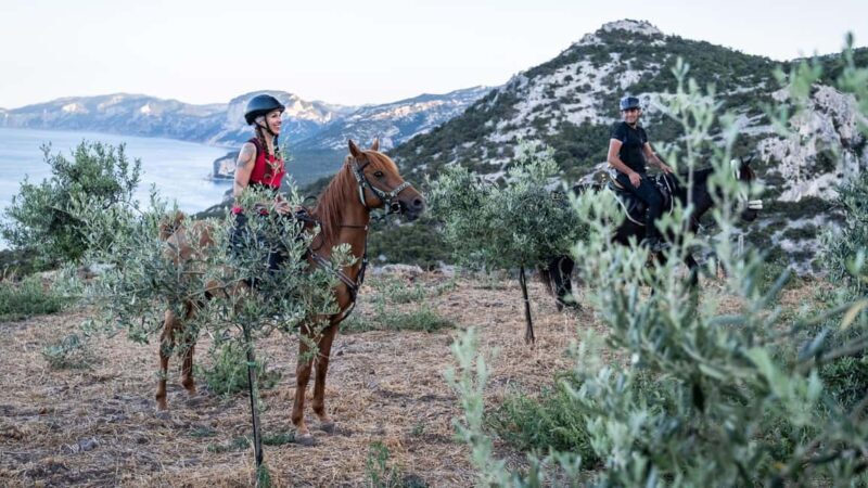 Dorgali: horseback ride for beginners in the Gulf of Orosei - What You Should Know Before Booking