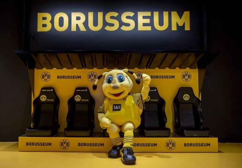 Dortmund: Borusseum Borussia Dortmund Museum Entry Ticket - The Experience of the Exhibits and Highlights