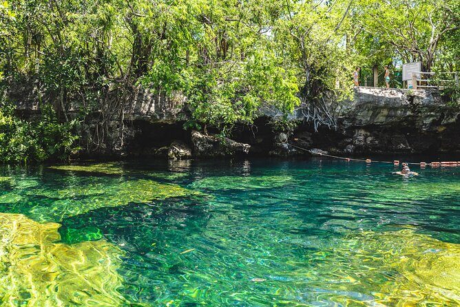 Dos Cenotes and Restaurant Lunch Private Adventure - Whats Included and What Not