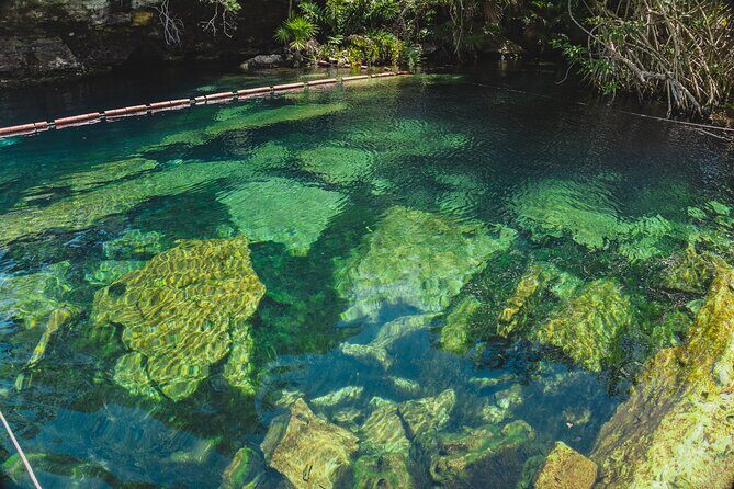 Dos Cenotes and Restaurant Lunch Private Adventure - Family and Group Considerations