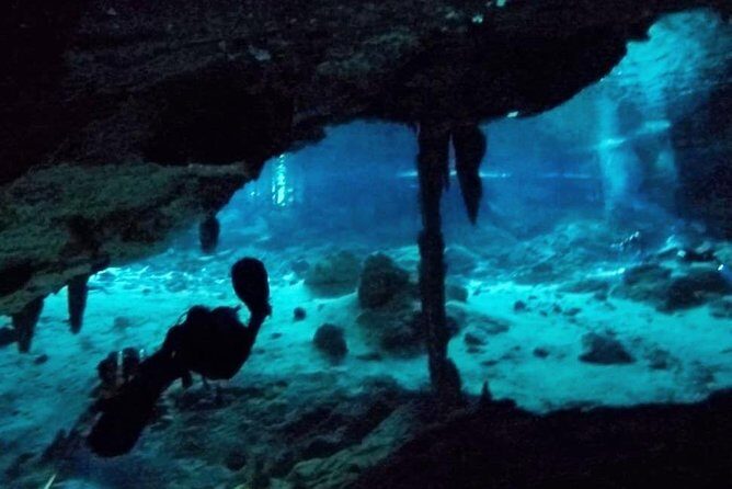 Dos Ojos Cenote Cavern Dive- The Barbie Line and The Bat Cave - Key Points