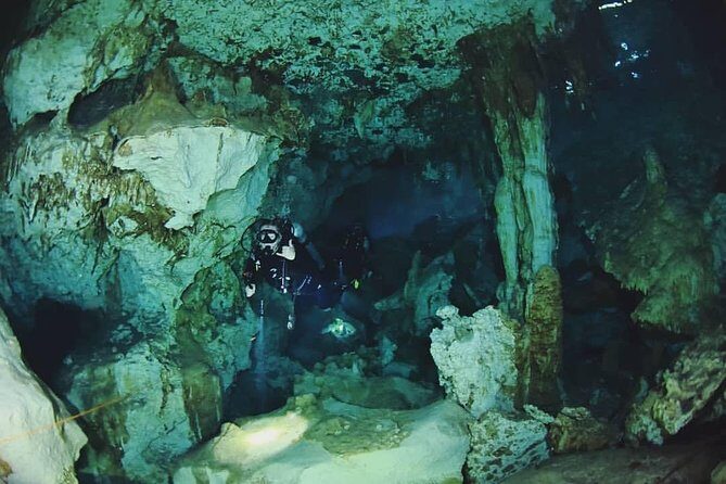 Dos Ojos Cenote Cavern Dive- The Barbie Line and The Bat Cave - Who Is This Tour Best For?