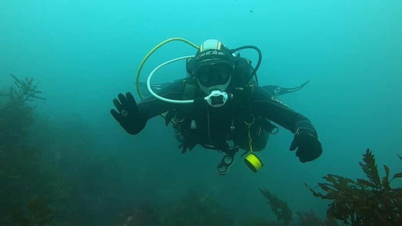 Double Boat Dive with Equipment - What Others Say