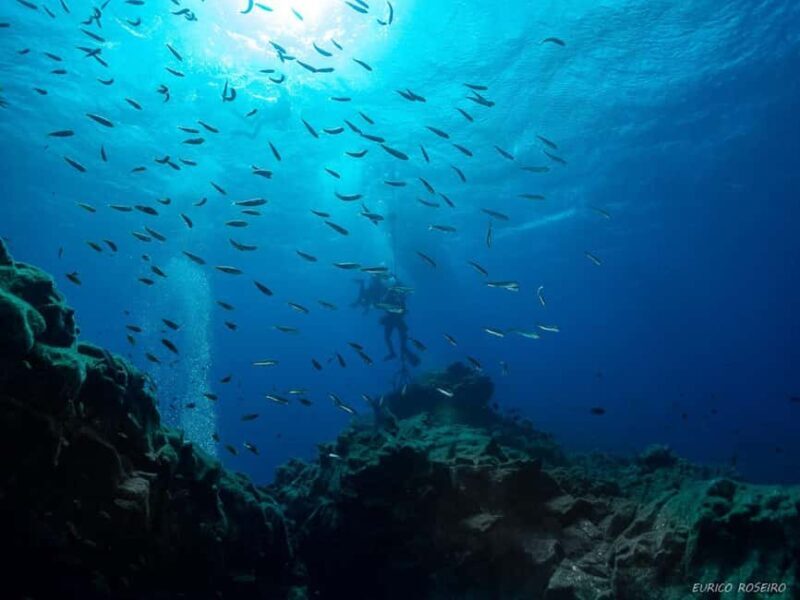 Double dive in Santa Maria Island - Azores - Key Points