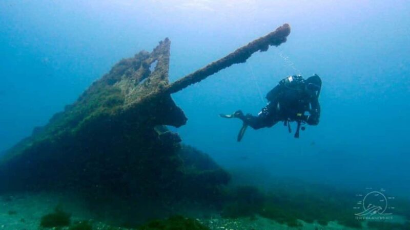Double Dive in Terceira Island - Azores - What to Expect from the Double Dive Experience