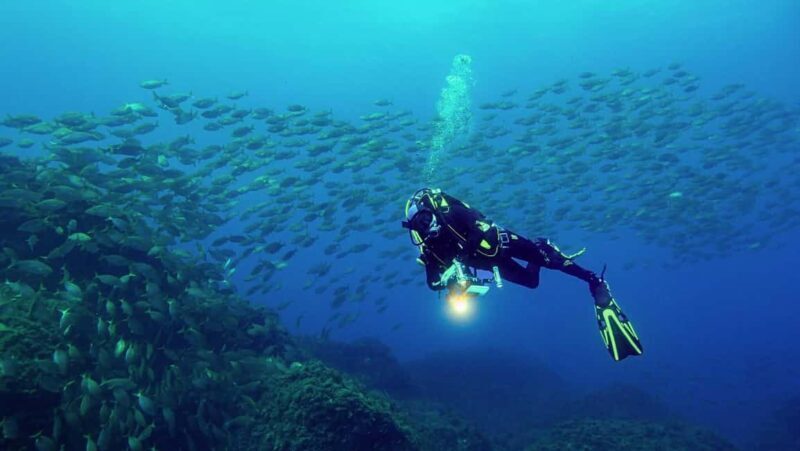 Double Dive in Terceira Island - Azores - The Dive Sites: What Makes Them Special