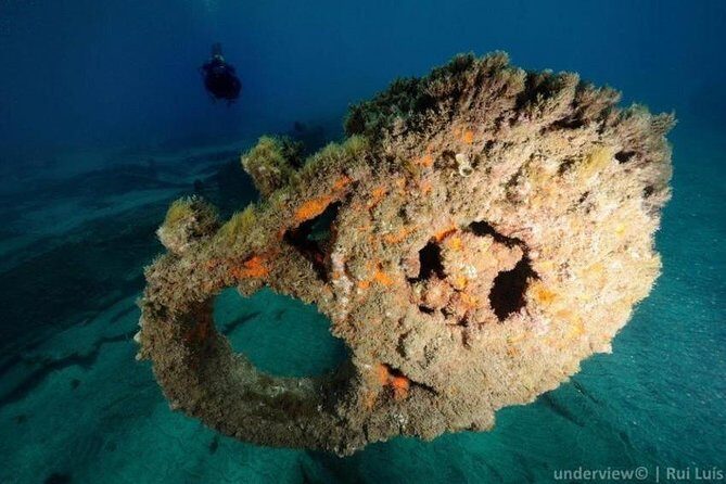 Double dive in the Algarve. Don't stop on the beach! - FAQ