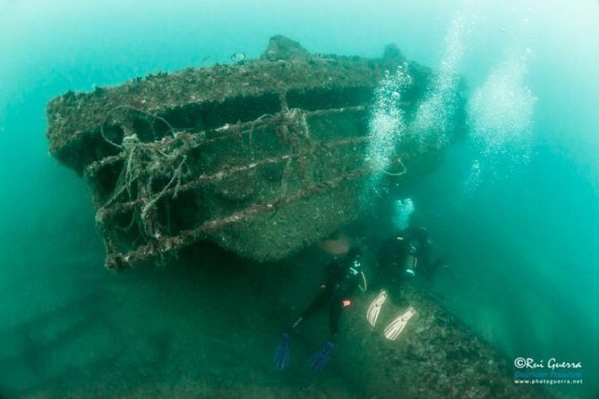 Double Dive the Fantastic Ocean Revival Park - Value and Cost