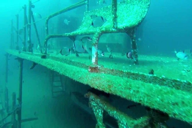 Double Dive the Fantastic Ocean Revival Park - The Sum Up