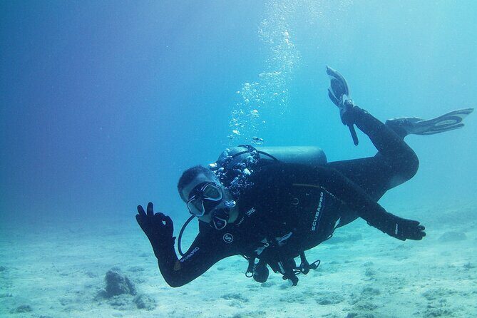 Double Shore Dive (certified divers) - A Closer Look at the Double Shore Dive Experience