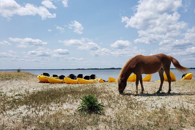 Double Sit on Top Kayak Rental at Assateague Island, MD - FAQ