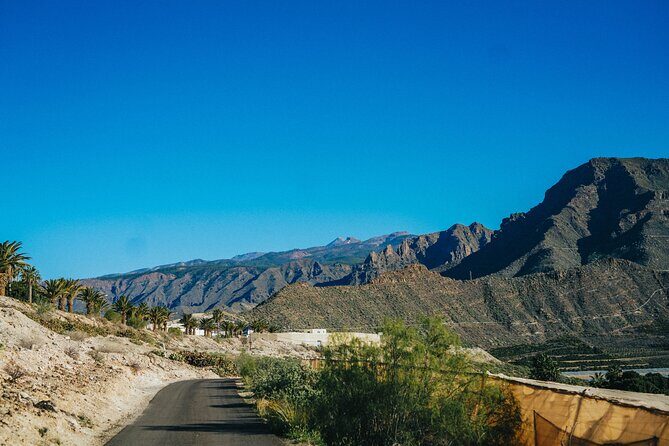 Double Tuk Tuk Tour in Costa Adeje - FAQ