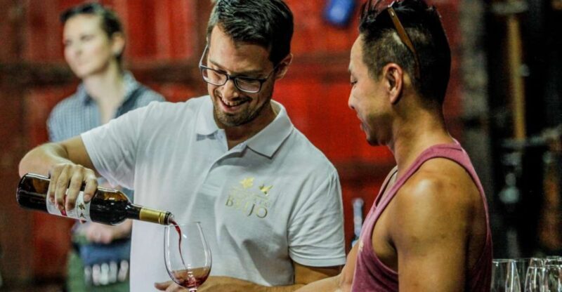 Douro: Classic Wine Tasting with Guided Tour - What Is This Tour All About?