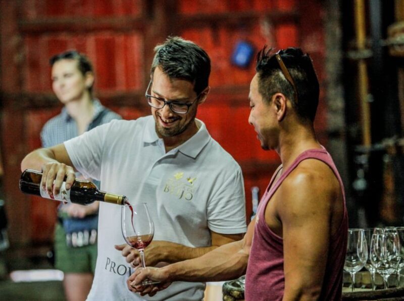 Douro: Classic Wine Tasting with Guided Tour - What We Loved (And What to Keep in Mind)