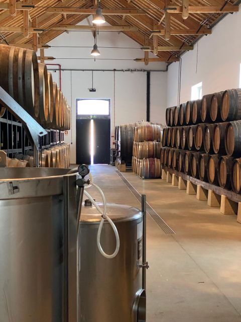 Douro from Porto - triathlon experience - FAQ