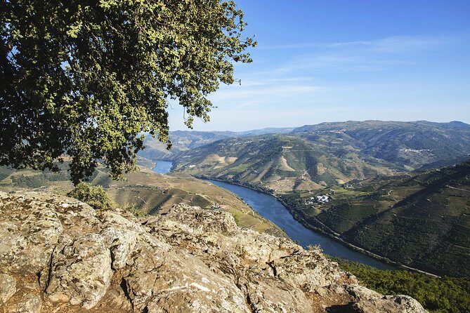 Douro Full Day Tour with Wine Tasting and Lunch - Key Points