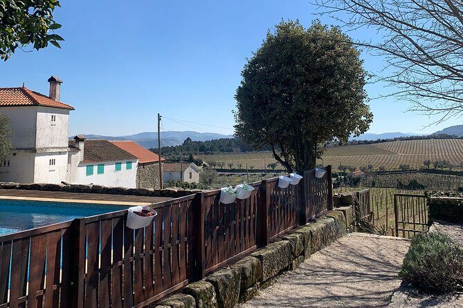 Douro Full Day Tour with Wine Tasting and Lunch - A Detailed Look at the Tour Experience