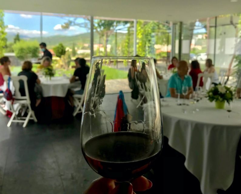 Douro: luxury tour with lunch at Quinta da Pacheca - An Overview of the Experience