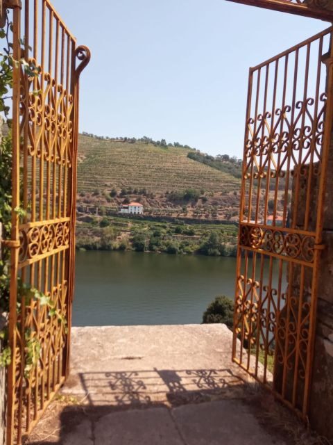Douro: luxury tour with lunch at Quinta da Pacheca - The Lunch at Quinta da Pacheca