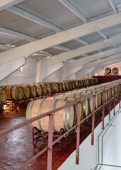 Douro: Martha's Legacy: Port Wine Tour and Tasting - The Sum Up