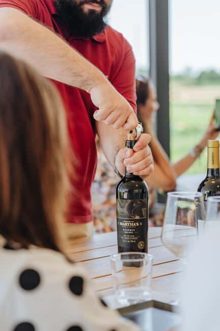 Douro: Martha's Selection - Premium Wine Tour and Tasting - Practical Details and What You Should Know