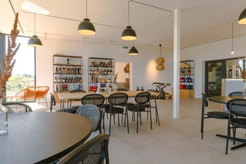 Douro: Martha's Welcome - Wine Tour and Tasting - Key Points