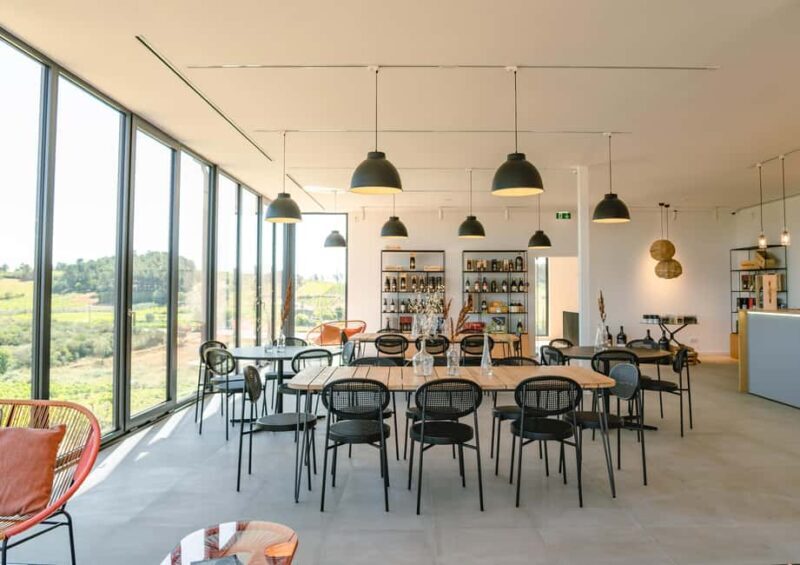 Douro: Martha's Welcome - Wine Tour and Tasting - What Travelers Say