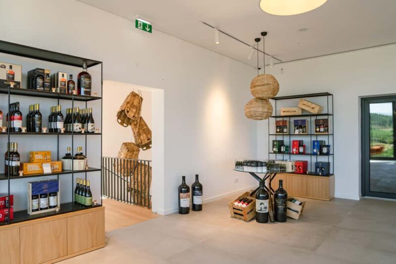 Douro: Martha's Welcome - Wine Tour and Tasting - Accessibility and Practical Info