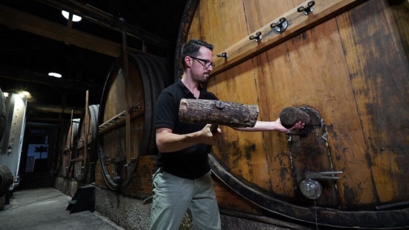 Douro: Porto Wine Tasting with Guided Tour - Exploring the Douro Valley and Quinta do Beijo