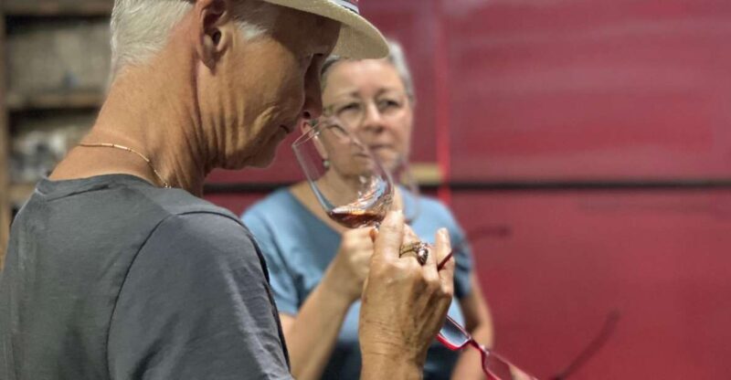 Douro: Porto Wine Tasting with Guided Tour - Who Should Consider This Tour?