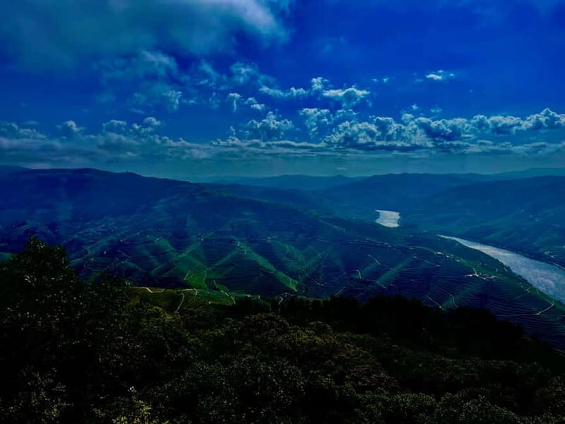 DOURO PREMIUM - Key Points