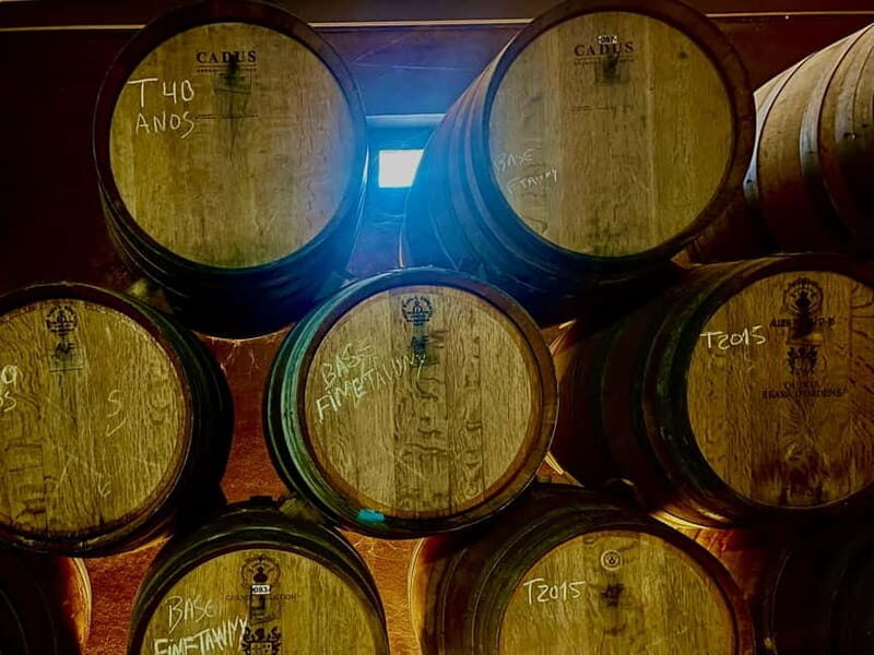 DOURO PREMIUM - The Pinhão Boat Cruise (55 minutes)