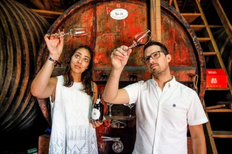 Douro: Premium Wine Tasting and Tapas Tour - Who Is This Tour Best For?