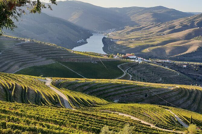 Douro Private Tour  Customizable Experience - The Final Stops: Sabrosa and a Relaxing Wine Tasting