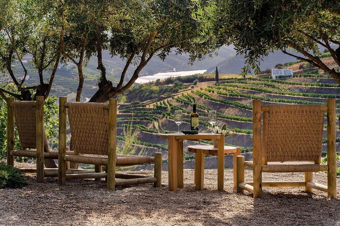 Douro Private Tour  Customizable Experience - Optional Add-Ons and Flexibility