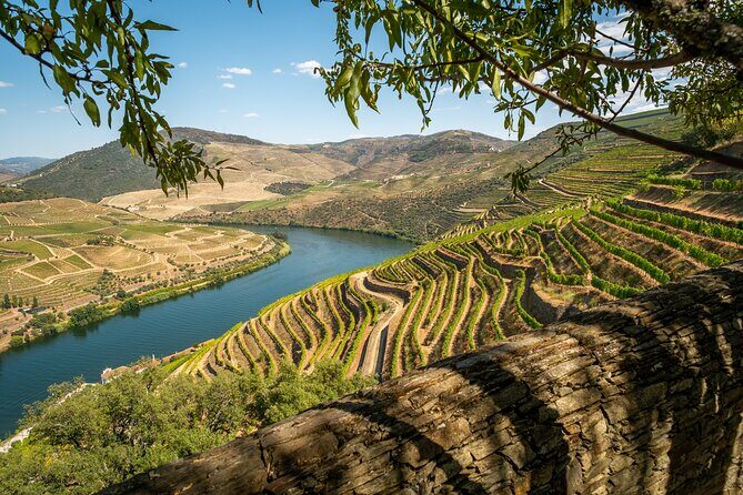 Douro Private Tour  Customizable Experience - FAQs