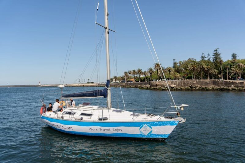 Douro River Cruise with Cheese & Tonic Porto in a Sailboat - Final Thoughts