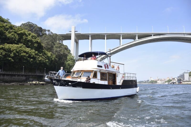 Douro River: Party Boat Tour - Is it Worth the Price?