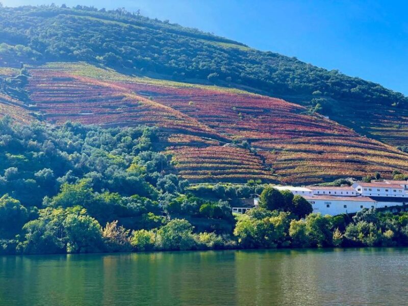 Douro River Private Cruise - How the Tour Fits into Your Day