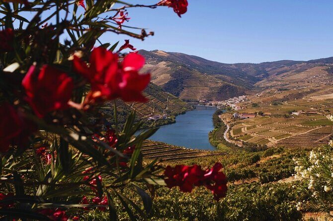 Douro Three Winery Small Group Tour with Lunch and Tastings - The Itinerary: A Detailed Look